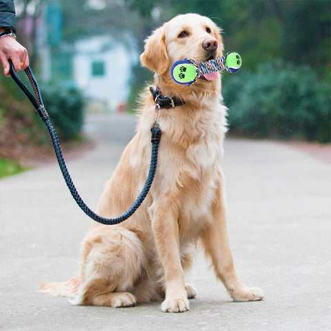 Dumbbell Rope Tennis Balls - DogCore.com