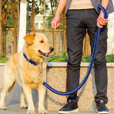 Pet Traction Rope Collar - DogCore.com