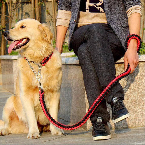 Pet Traction Rope Collar - DogCore.com