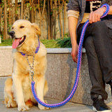 Pet Traction Rope Collar - DogCore.com