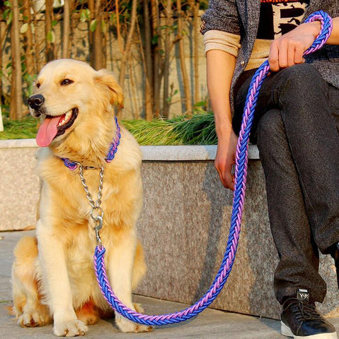 Pet Traction Rope Collar - DogCore.com