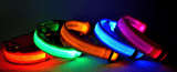 Dog Collar - DogCore.com