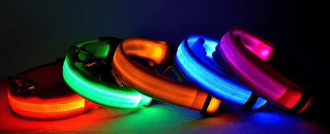 Dog Collar - DogCore.com