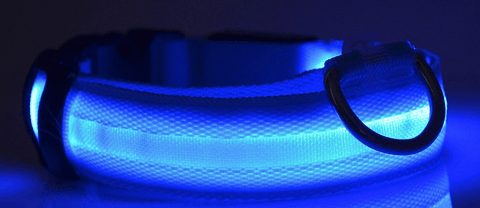 Dog Collar - DogCore.com