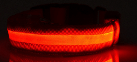 Dog Collar - DogCore.com