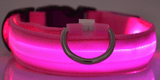 Dog Collar - DogCore.com