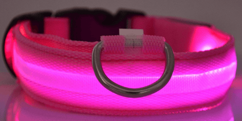 Dog Collar - DogCore.com