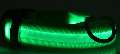 Dog Collar - DogCore.com