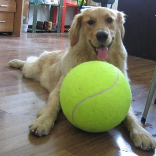 Giant Tennise Ball - DogCore.com