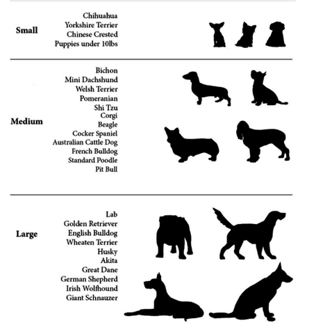 Dog Hats - DogCore.com