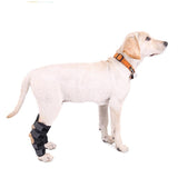 DC Dog Knee Hook  Brace - DogCore.com
