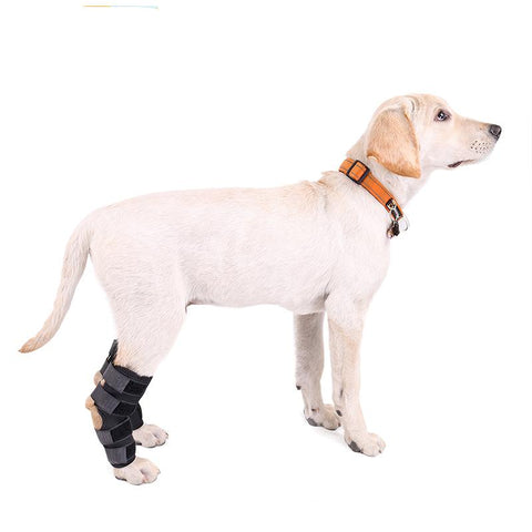 DC Dog Knee Hook  Brace - DogCore.com