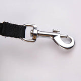 Retractable Dog Leashes - DogCore.com