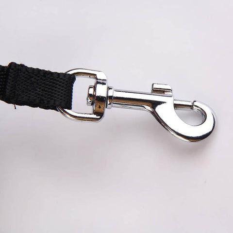 Retractable Dog Leashes - DogCore.com