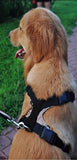 Track Harness - DogCore.com