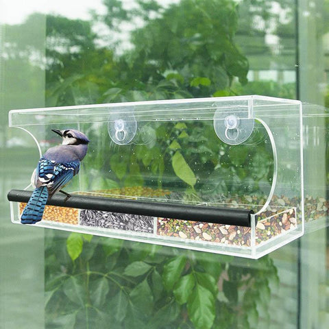 Crystal Window Bird Feeder - DogCore.com
