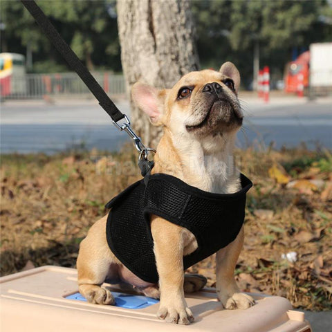 Dog nylon mesh vest FREE + Shipping - DogCore.com
