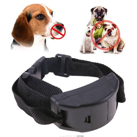 Training Collar - DogCore.com