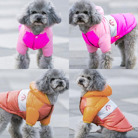 Core Winter Dog Coat - DogCore.com