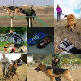 DC DogLeash - DogCore.com