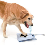Doggie Water Fountain - DogCore.com