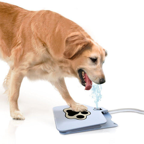 Doggie Water Fountain - DogCore.com