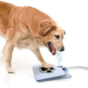 Doggie Water Fountain - DogCore.com
