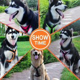 Track Harness - DogCore.com