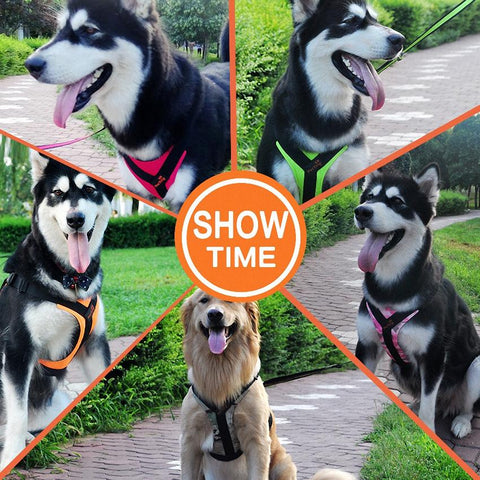 Track Harness - DogCore.com