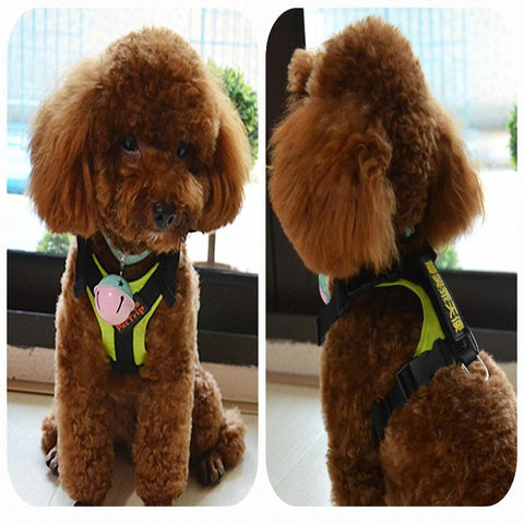 Track Harness - DogCore.com