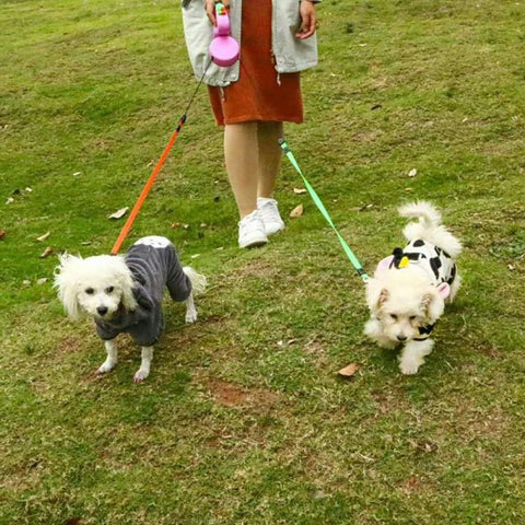 Gorilla Dog Leash for Two - DogCore.com