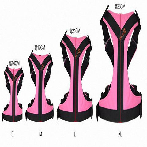 Track Harness - DogCore.com