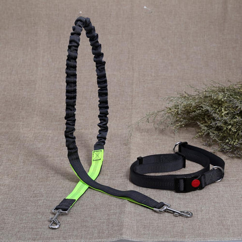 Dog Walk Running Leash Lead - DogCore.com