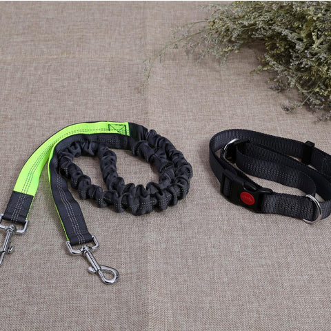 Dog Walk Running Leash Lead - DogCore.com