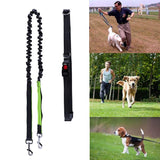 Dog Walk Running Leash Lead - DogCore.com