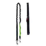 Dog Walk Running Leash Lead - DogCore.com