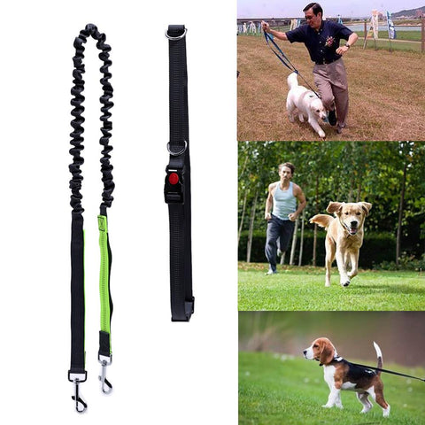 Dog Walk Running Leash Lead - DogCore.com