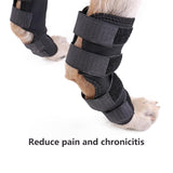 DC Dog Knee Hook  Brace - DogCore.com