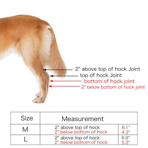 DC Dog Knee Hook  Brace - DogCore.com