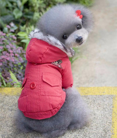 DC Winter Coat - DogCore.com