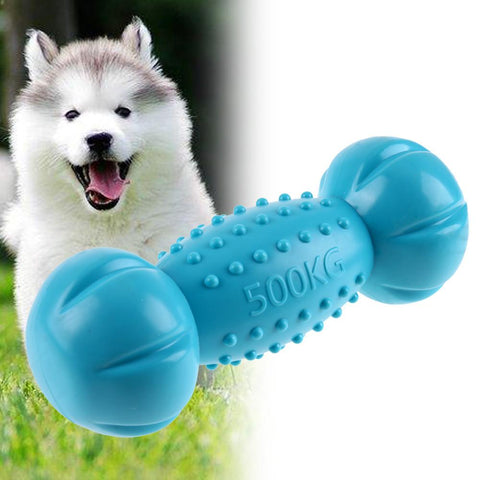 Dumbbell Squeak Chewing Toy - DogCore.com