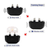 Training Collar for 2 Dogs - DogCore.com