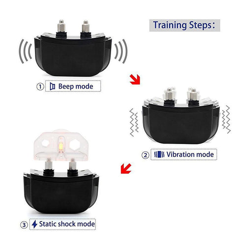 Training Collar for 2 Dogs - DogCore.com