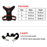 DC Harness with Seat Belt - DogCore.com