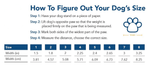 DC Doggie Waterproof shoes - DogCore.com