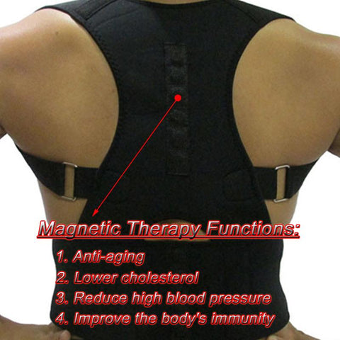 Oasis Magnetic Back Posture Corrector - DogCore.com