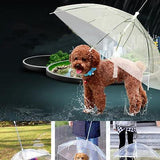 DC Doggie Umbrella - DogCore.com