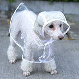 DC Doggie Raincoat - DogCore.com