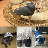 DC Dog Winter Hoodie - DogCore.com