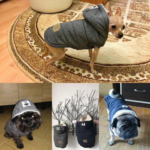 DC Dog Winter Hoodie - DogCore.com